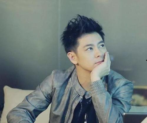 林志颖热点爆料视频下载,揭秘明星幕后生活  第3张